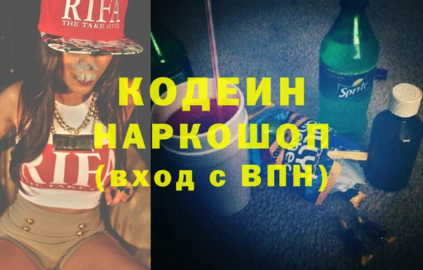 хмурый Алзамай