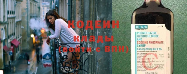 хмурый Алзамай